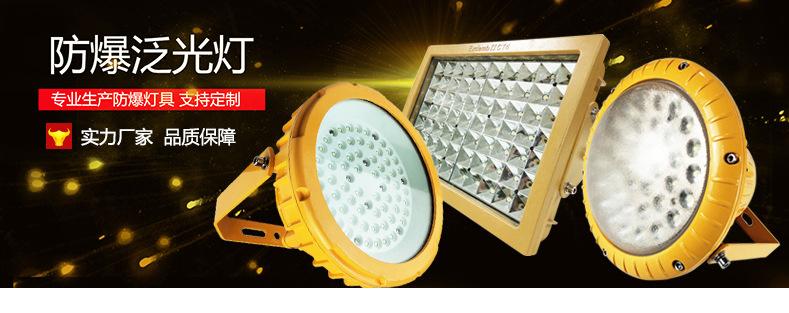 led高效节能防爆油站灯防水厂用照明灯50w150w200w圆形防爆泛光灯