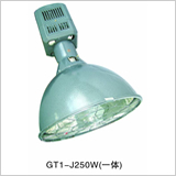 引领绿色照明新时代 高效节能灯具产品全方位展示